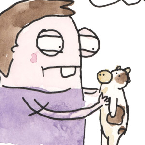 Cows