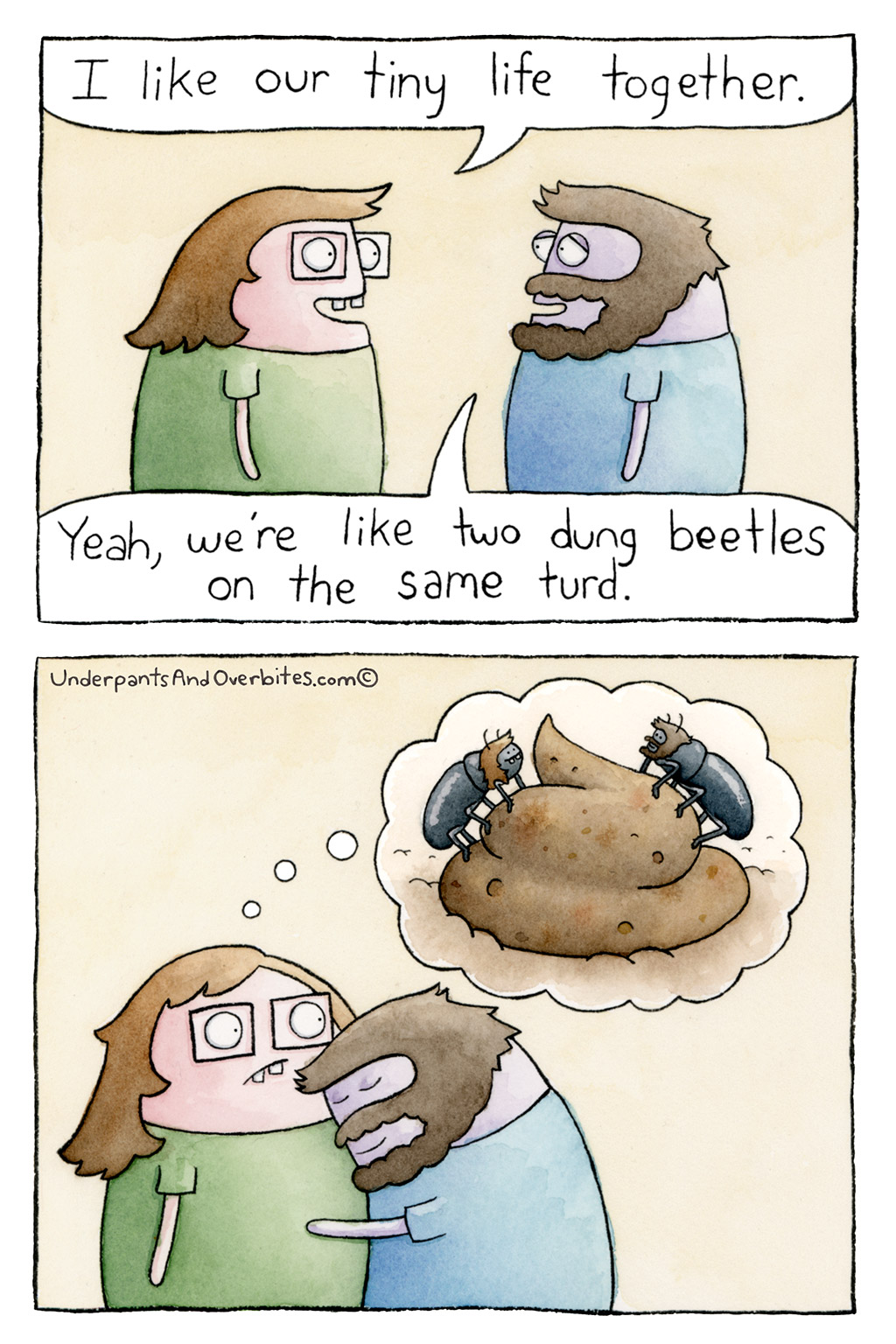 Dung Beetles