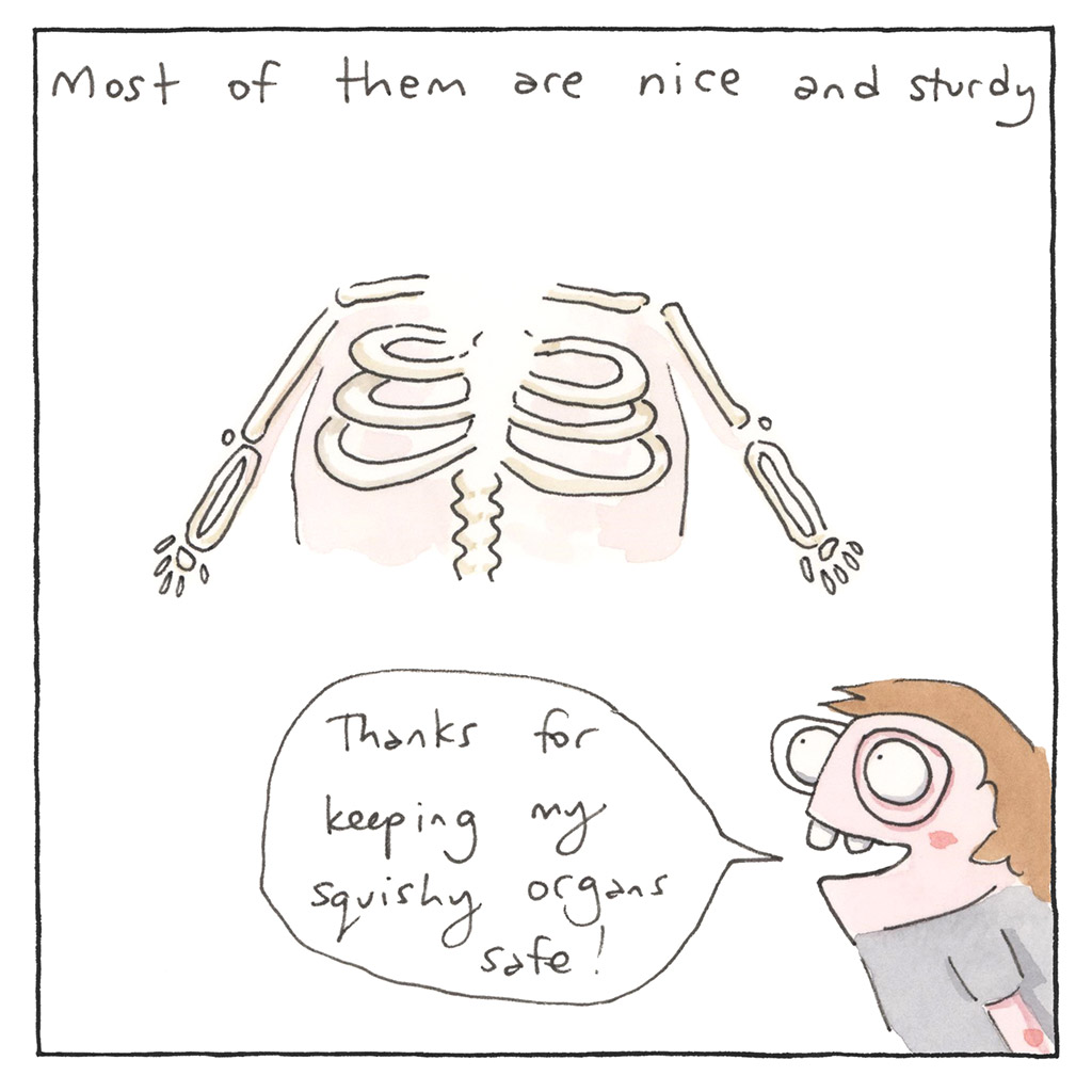 165-E-Ribs