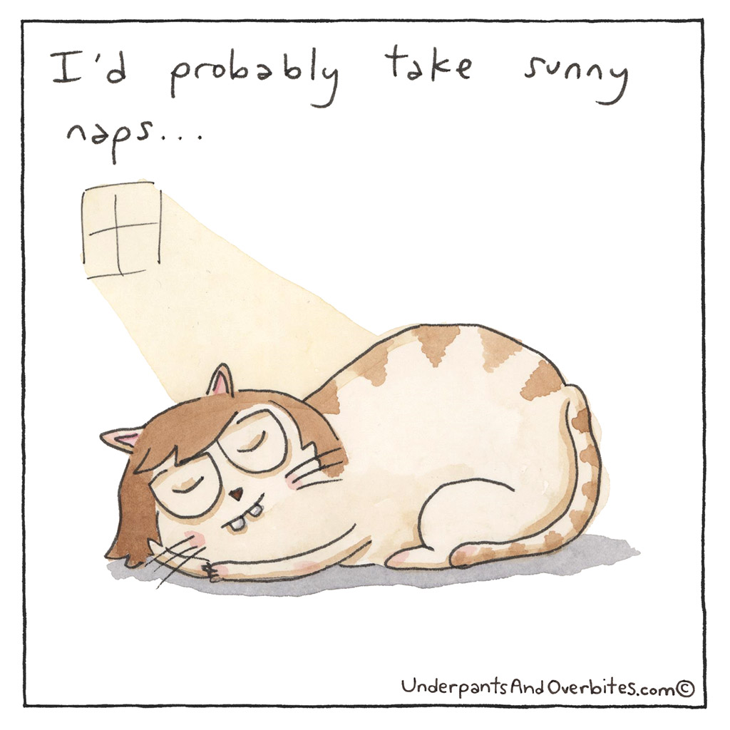 175-B-Cat