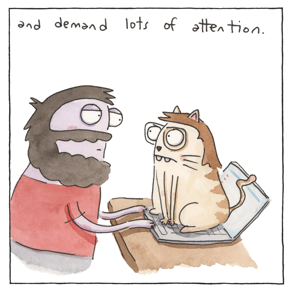 175-D-Cat
