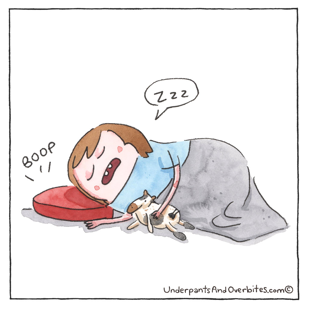 191-B-ResetButton
