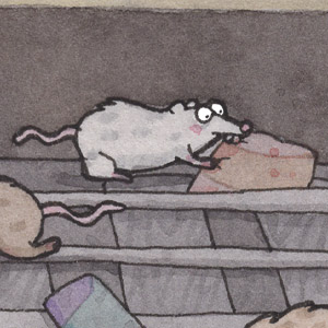Rats