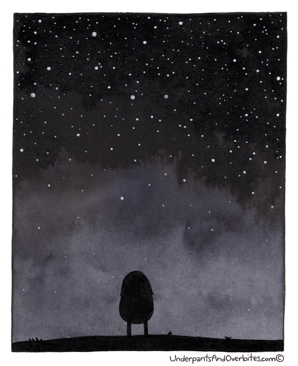 Star Gazer