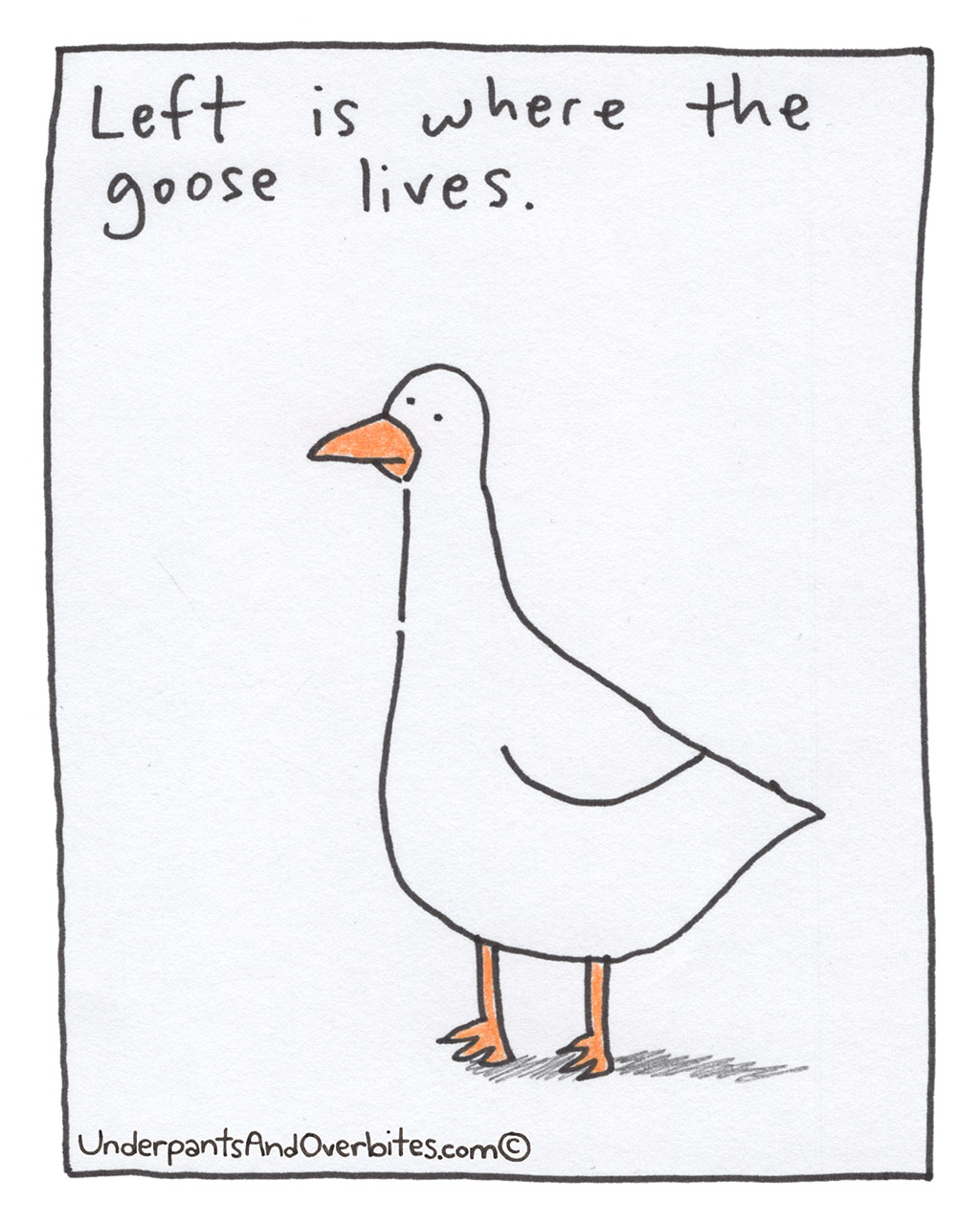 455-F-PorchGoose