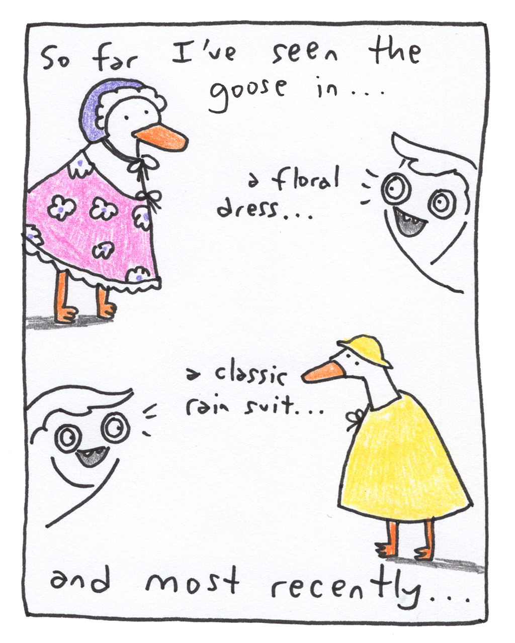 455-I-PorchGoose