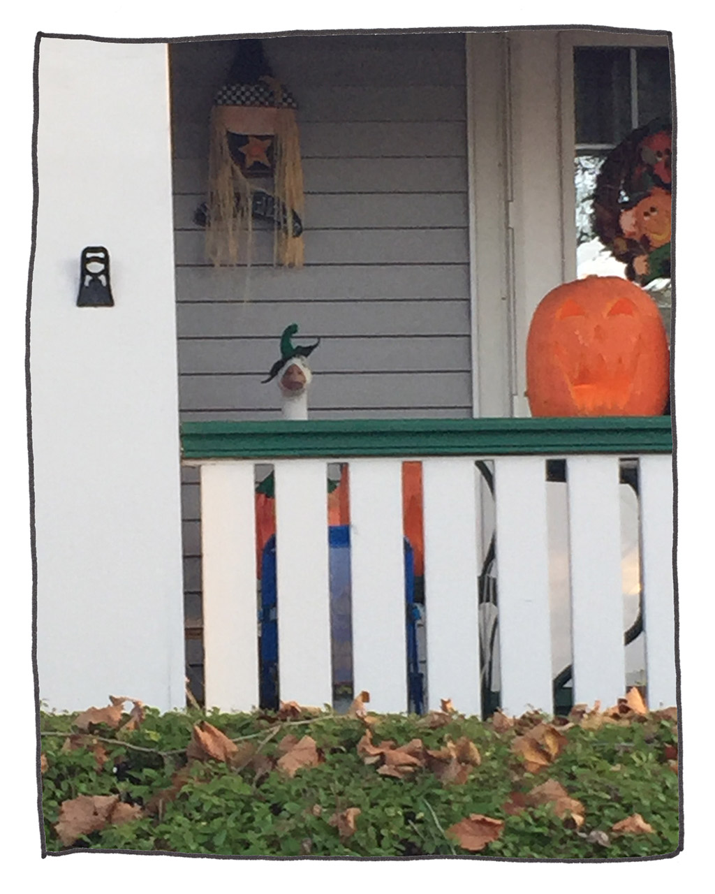 455-J-PorchGoose