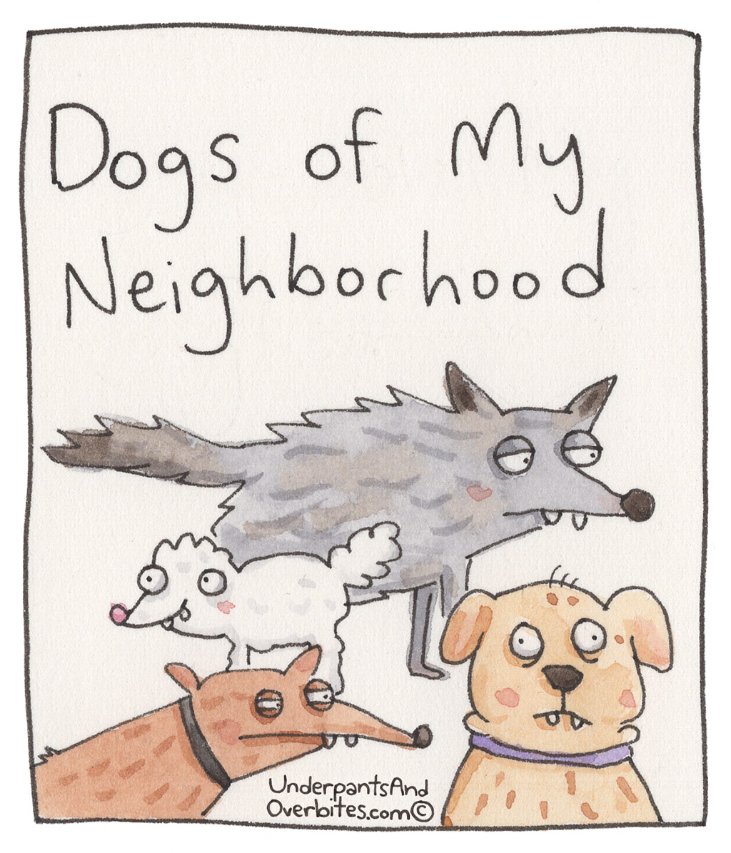 Dogs Of My Neighborhood