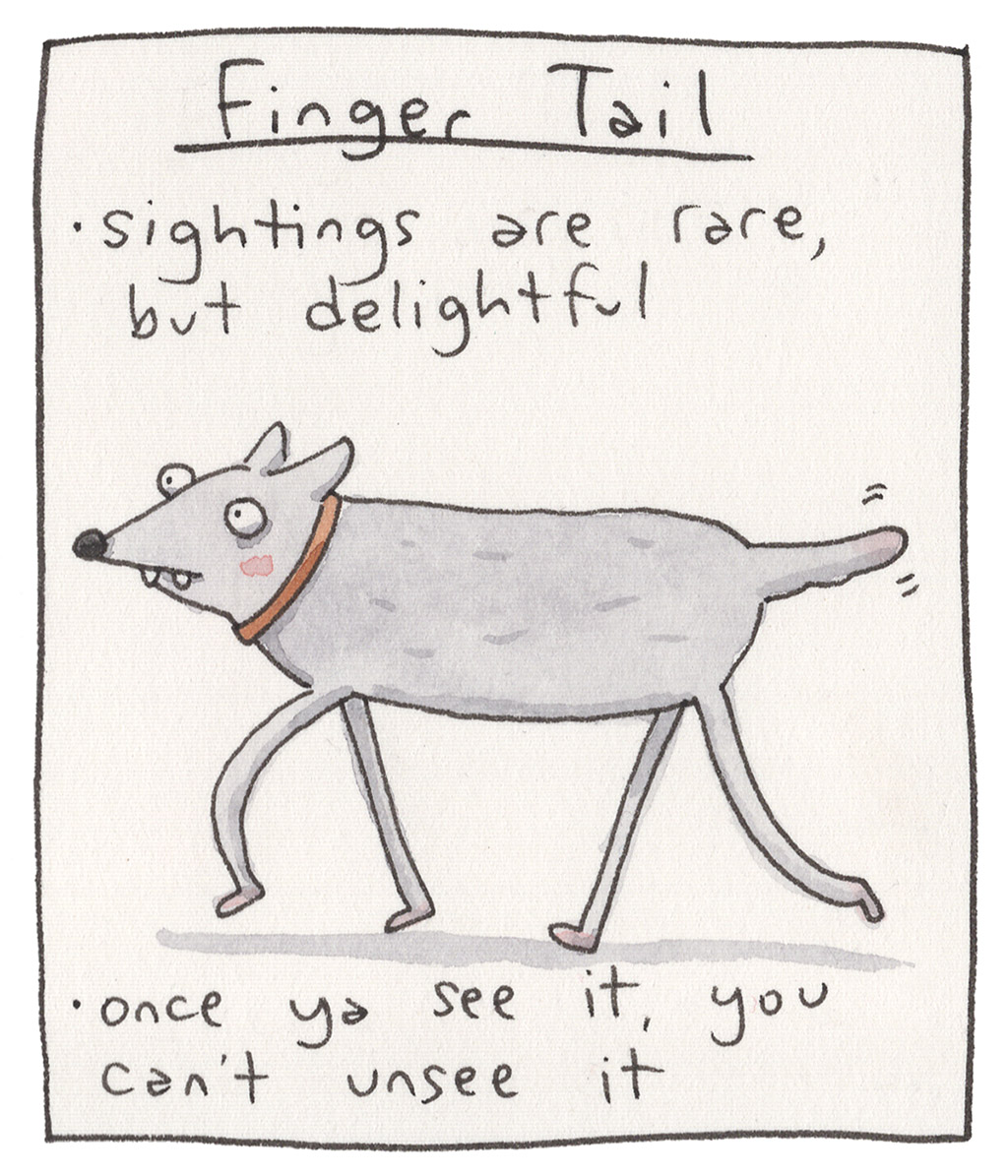 477-D-DogsOfMyNeighborhood