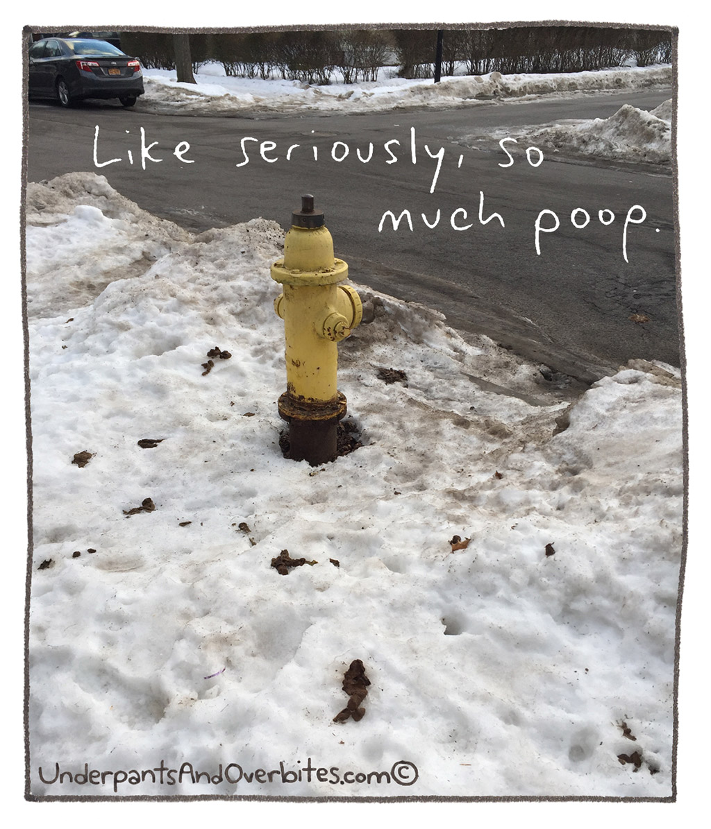 505-D-PoopCrimes