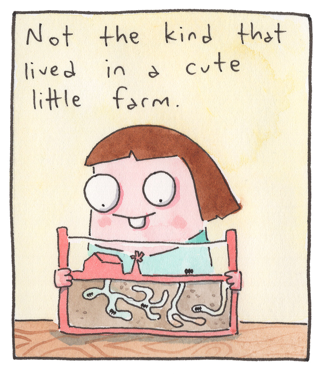 536-B-Ants
