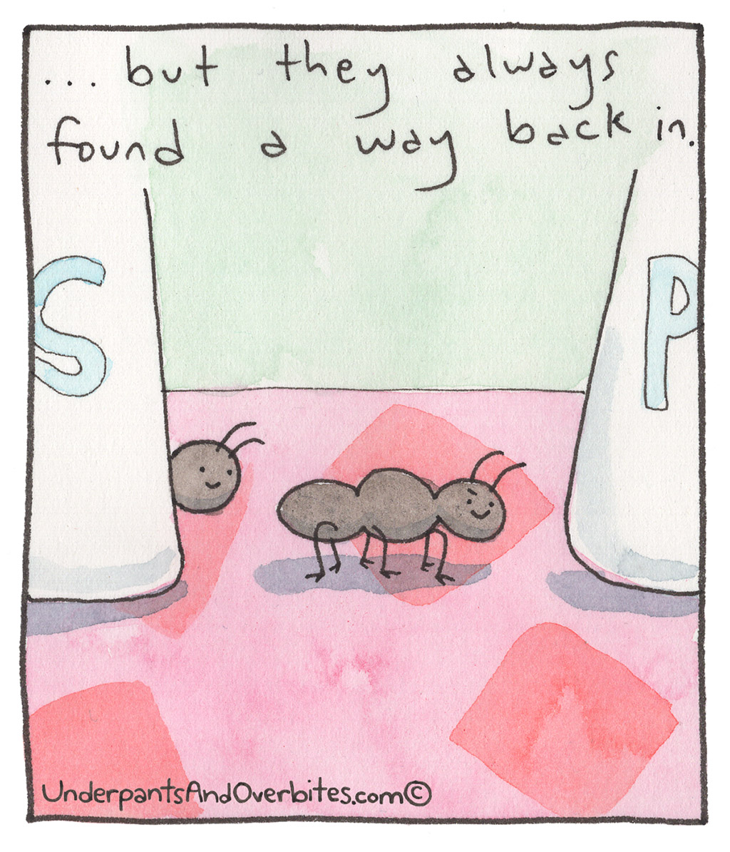 536-E-Ants