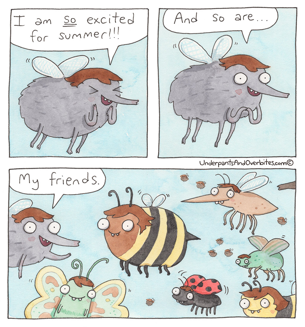 Summer Bugs