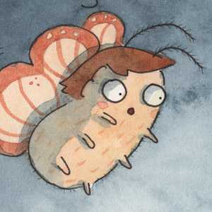 Moth