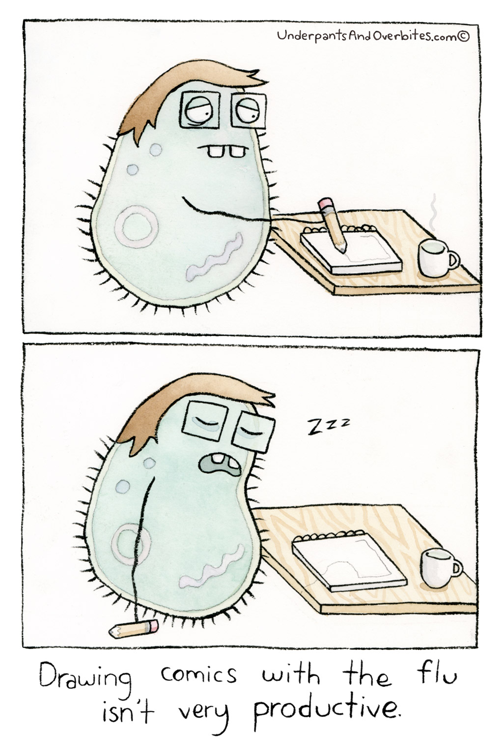 The Flu
