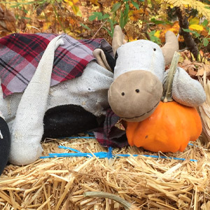 Happy Fall