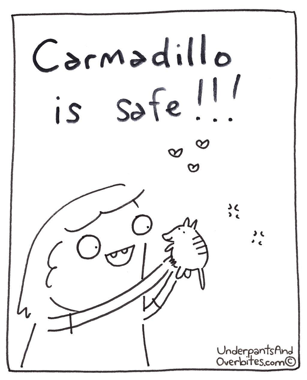 Carmadillo