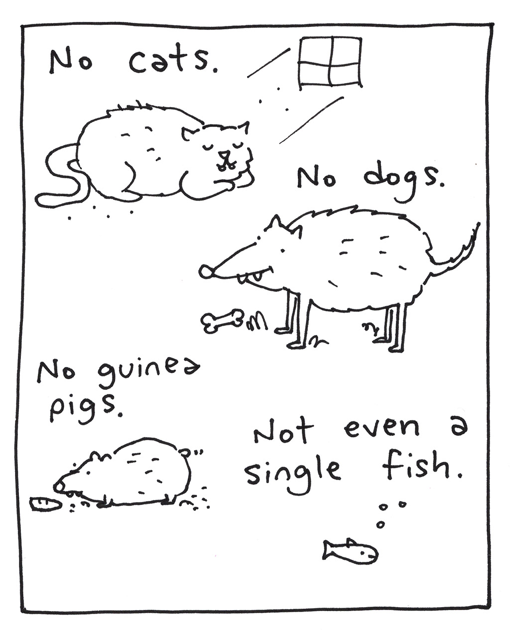 644-B-SugarGliders