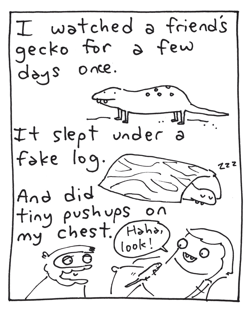 644-C-SugarGliders