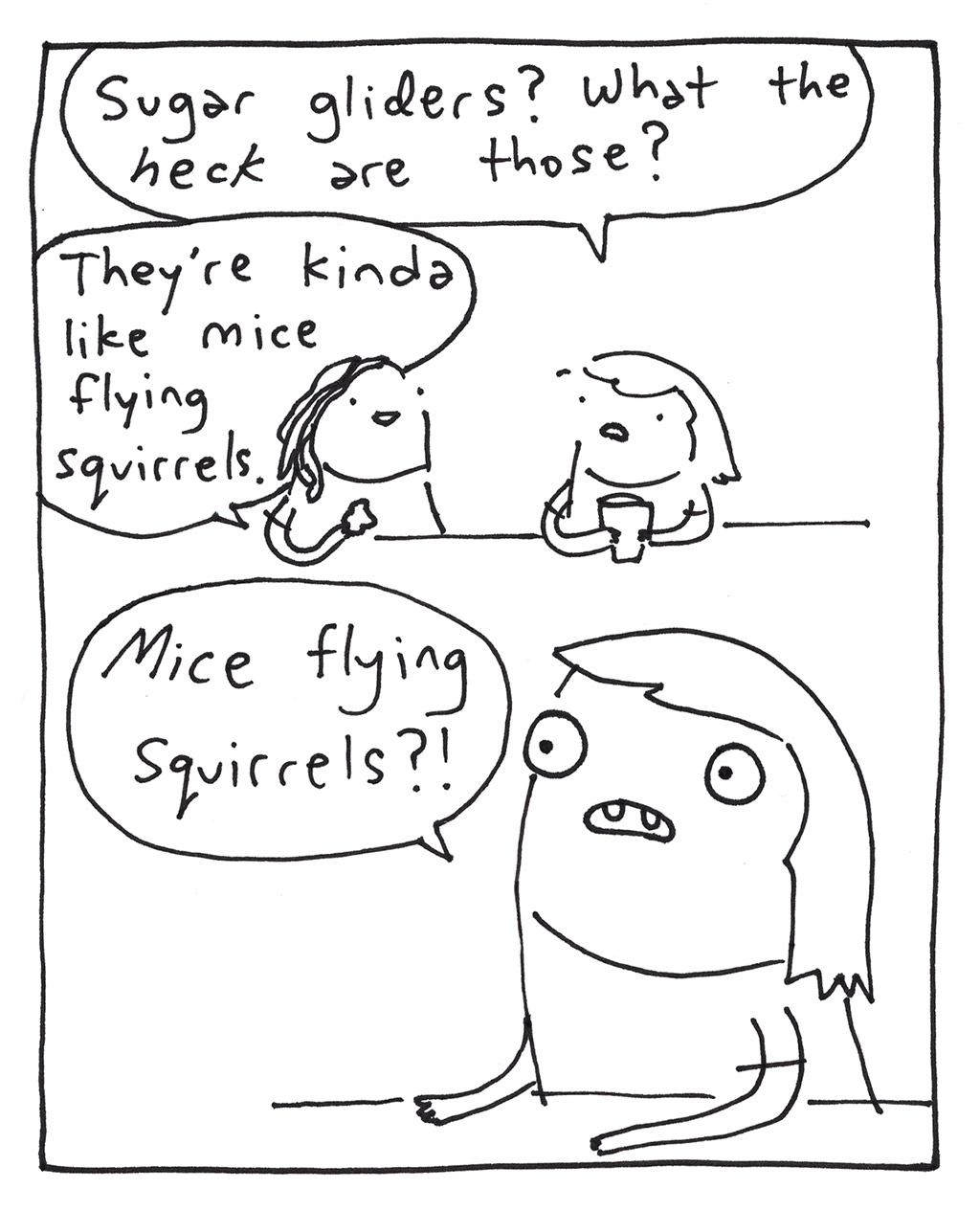 644-K-SugarGliders