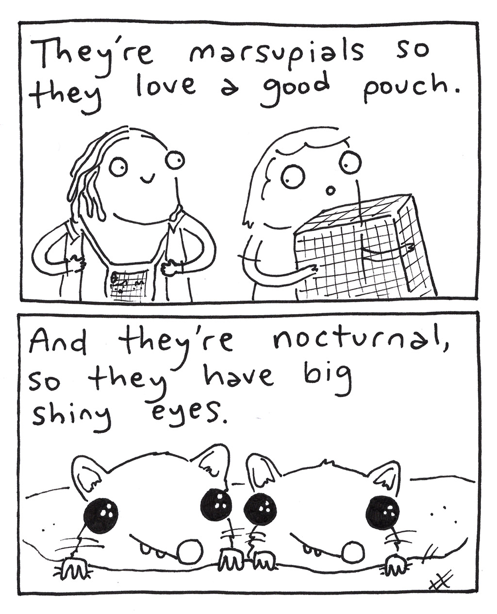 644-O-SugarGliders