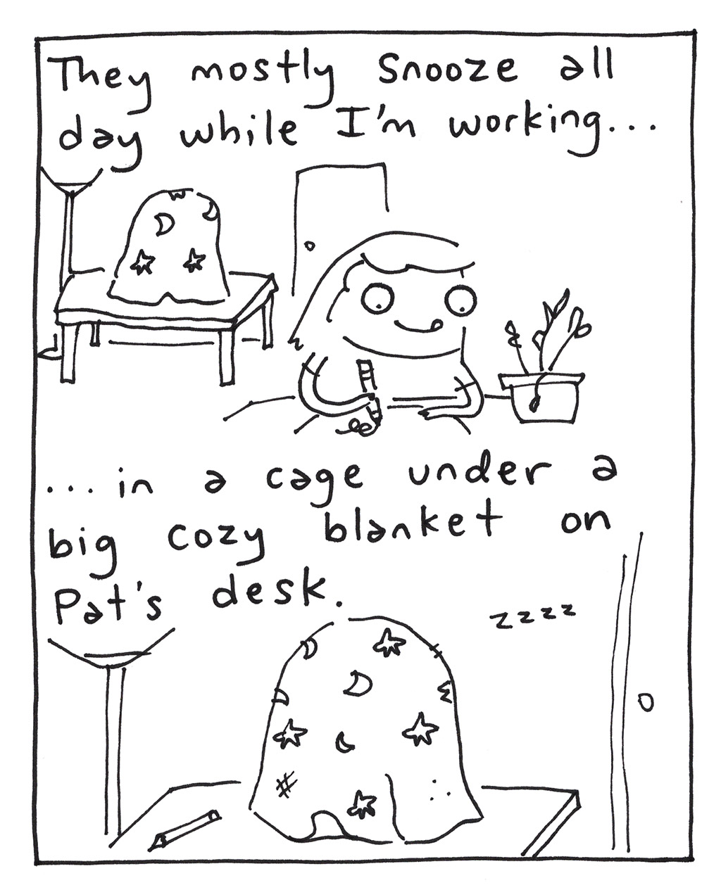 644-P-SugarGliders