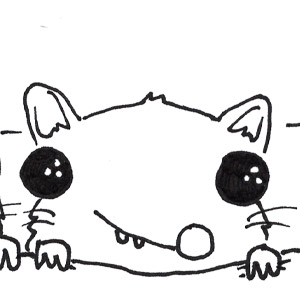 Sugar Gliders