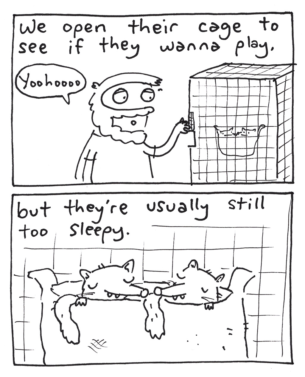 644-U-SugarGliders