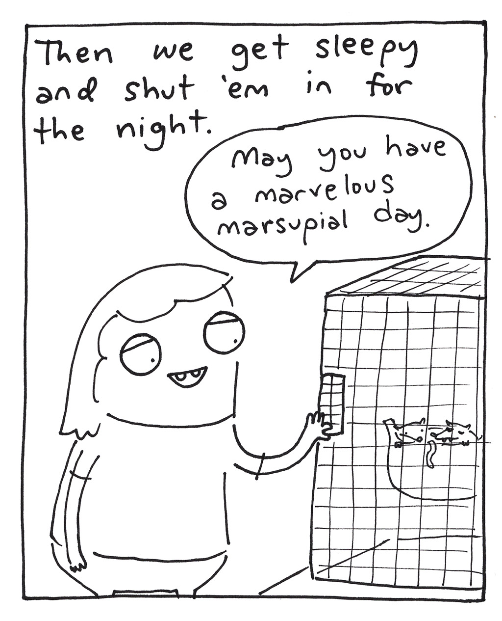 644-V-SugarGliders