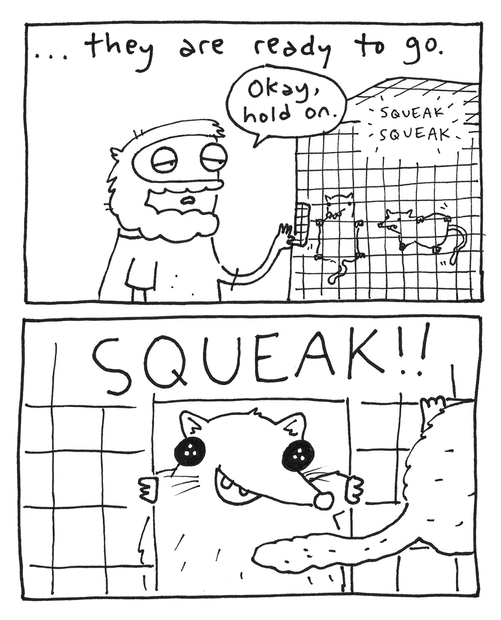 644-X-SugarGliders