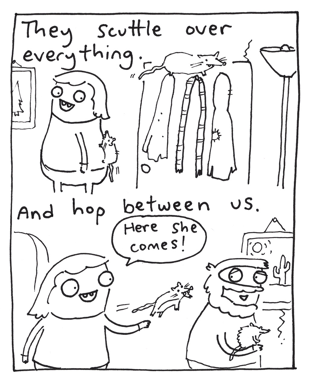 644-Y-SugarGliders