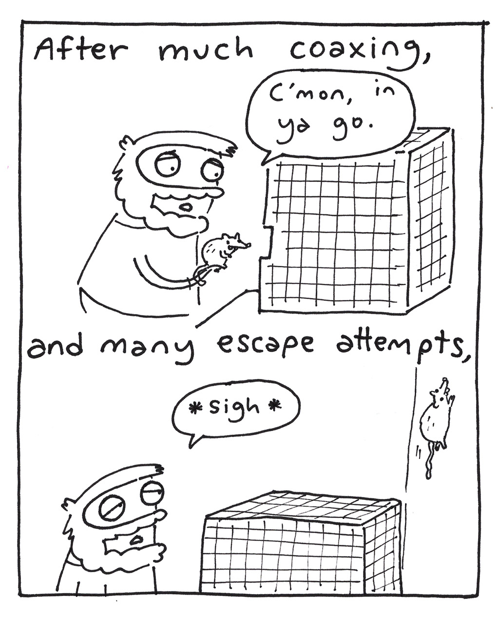 644-ZD-SugarGliders