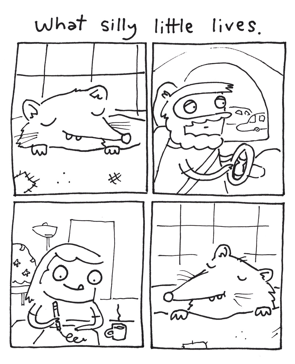 644-ZF-SugarGliders