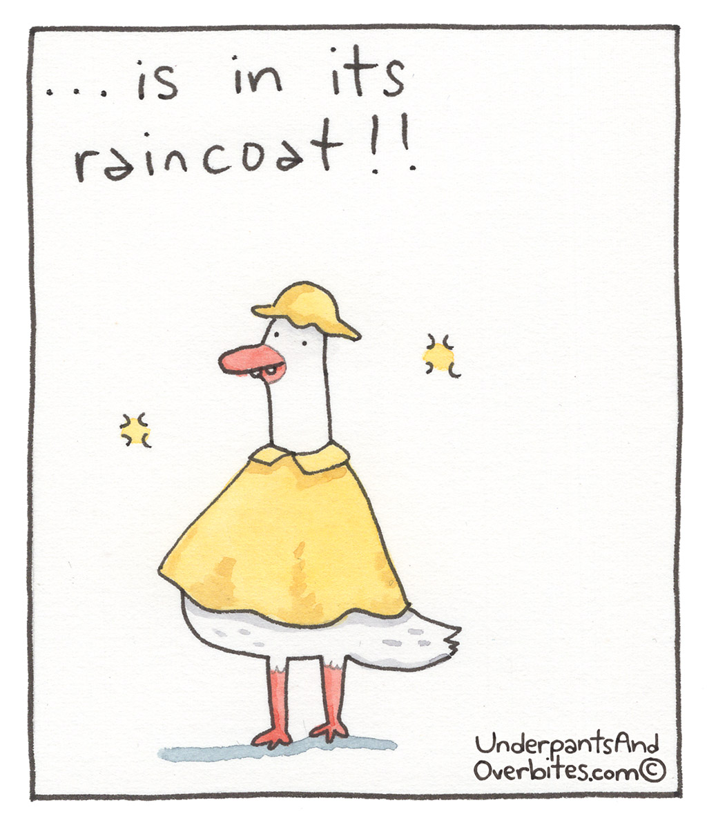 650-C-SpringGoose
