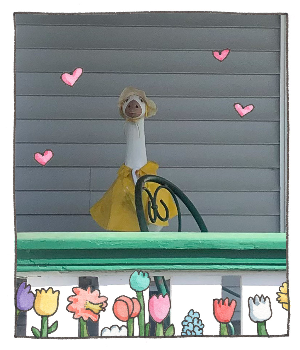 650-D-SpringGoose
