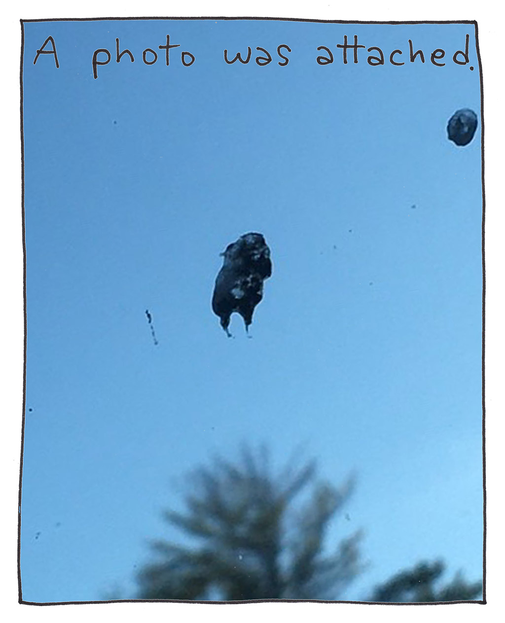 680-F-BirdPoop