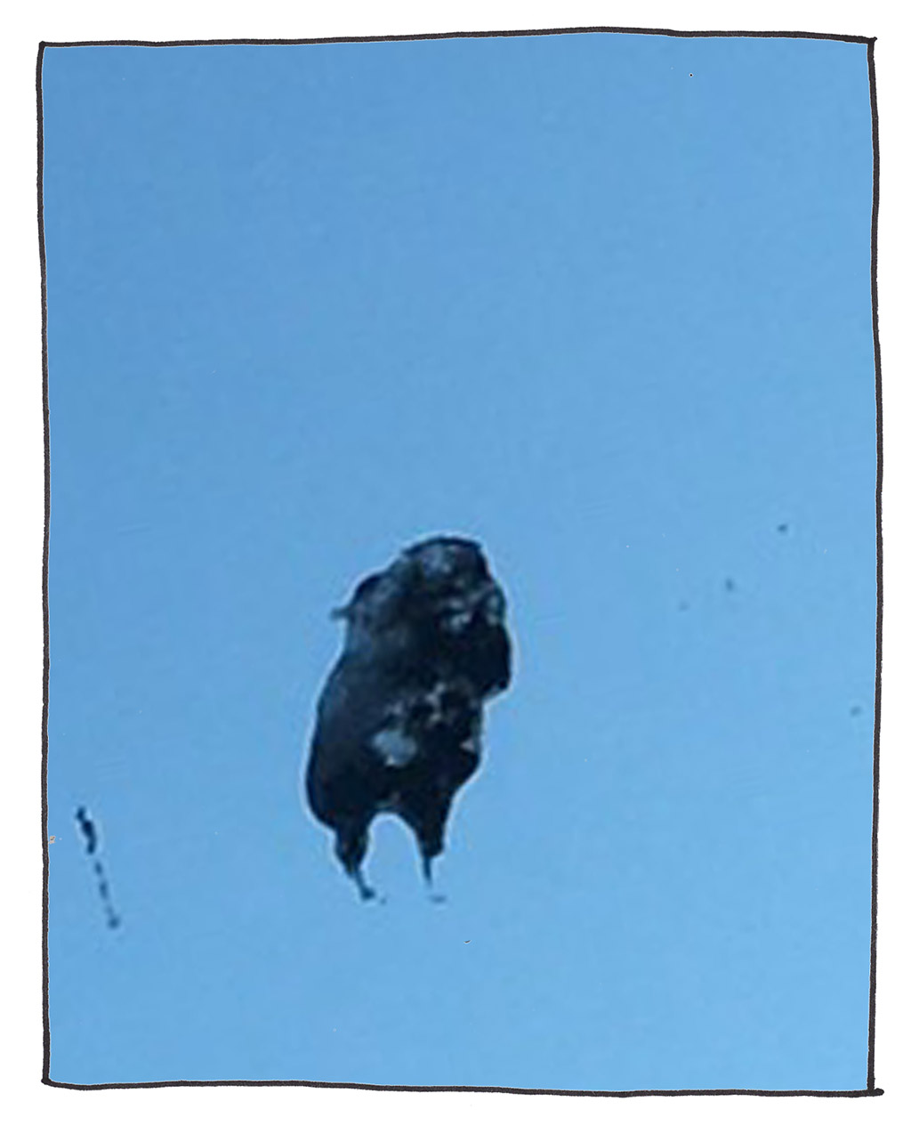 680-G-BirdPoop