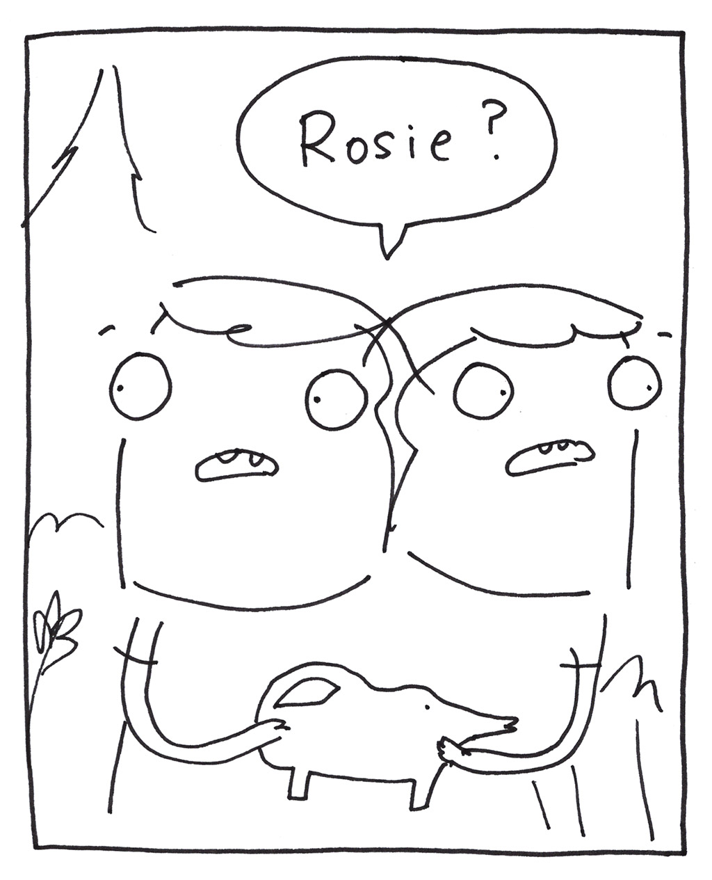 801-E-Rosebush