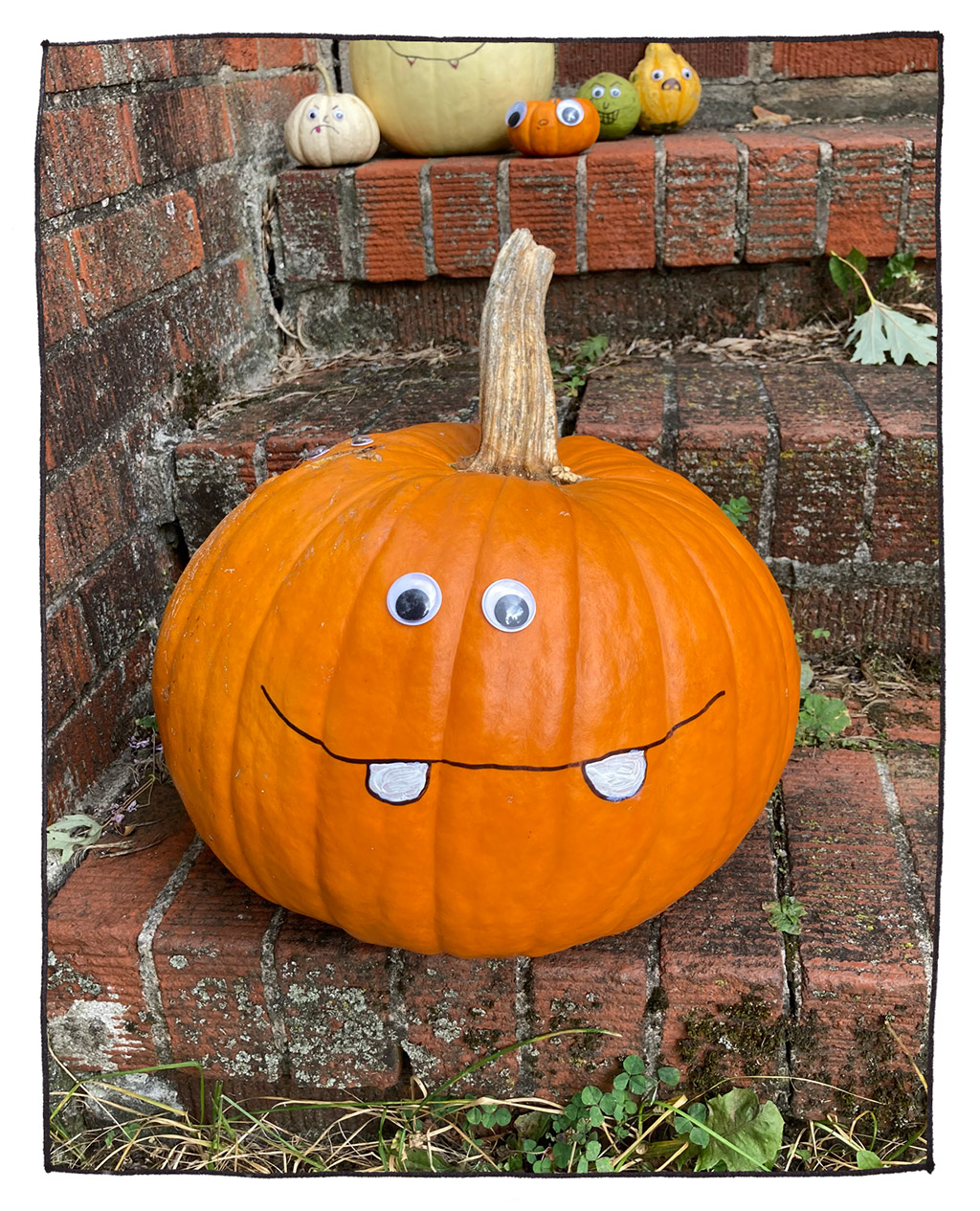 829-C-PumpkinSeason