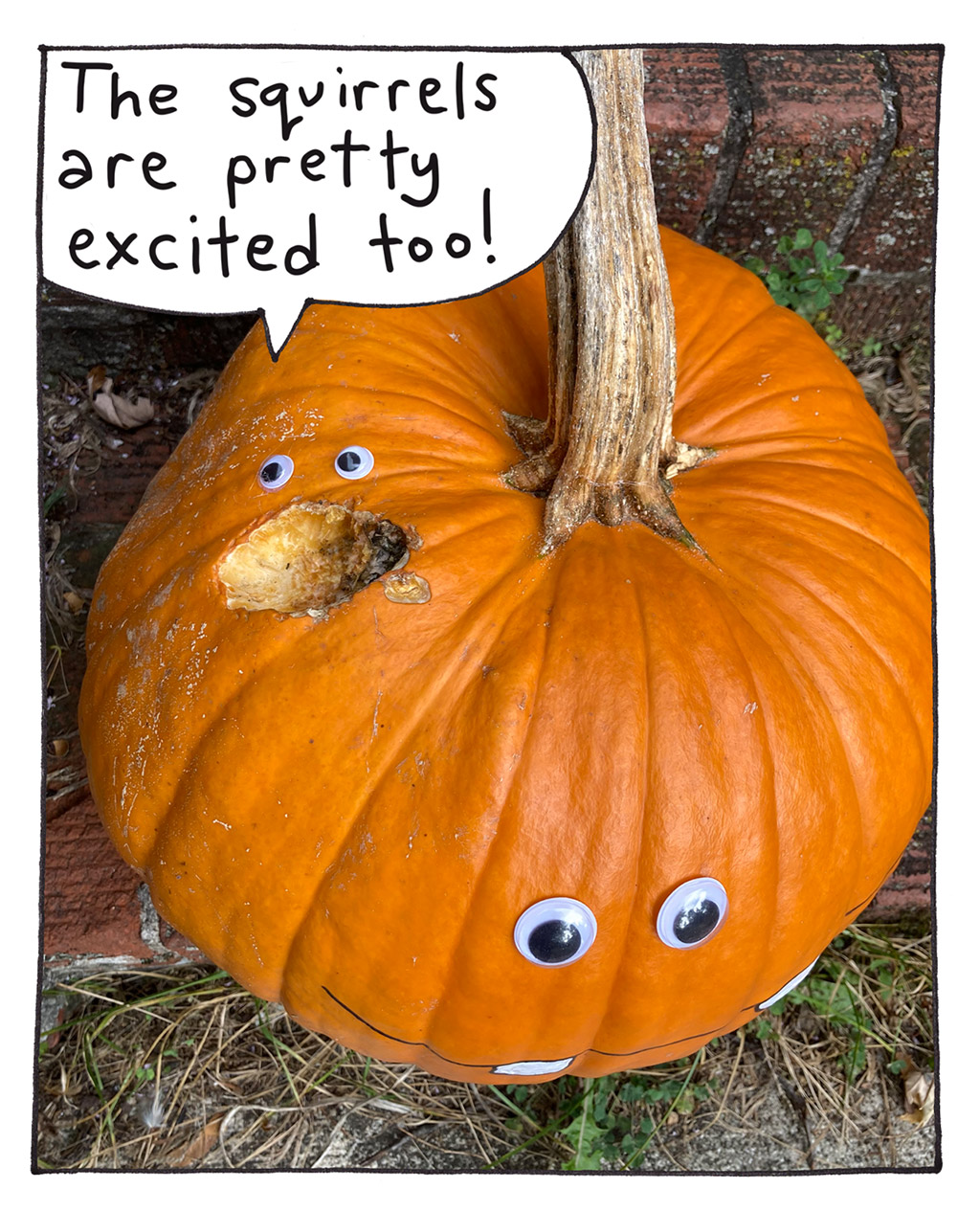 829-D-PumpkinSeason