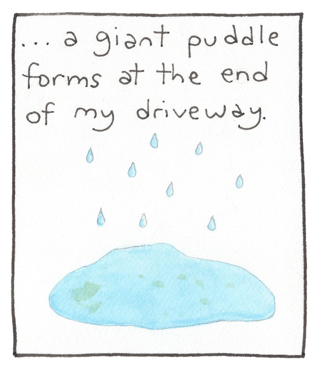894-B-DrivewayPuddle