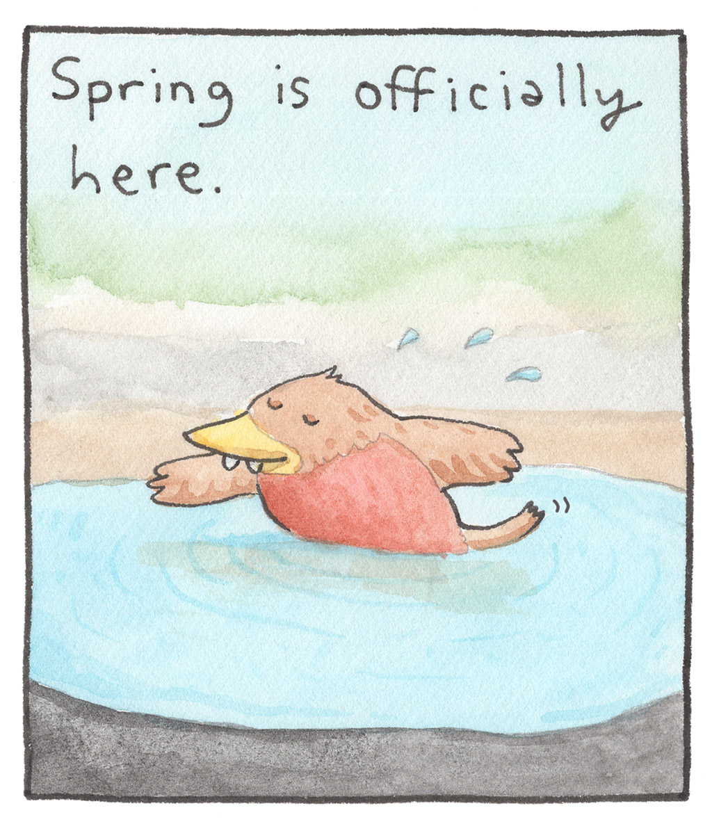894-F-DrivewayPuddle