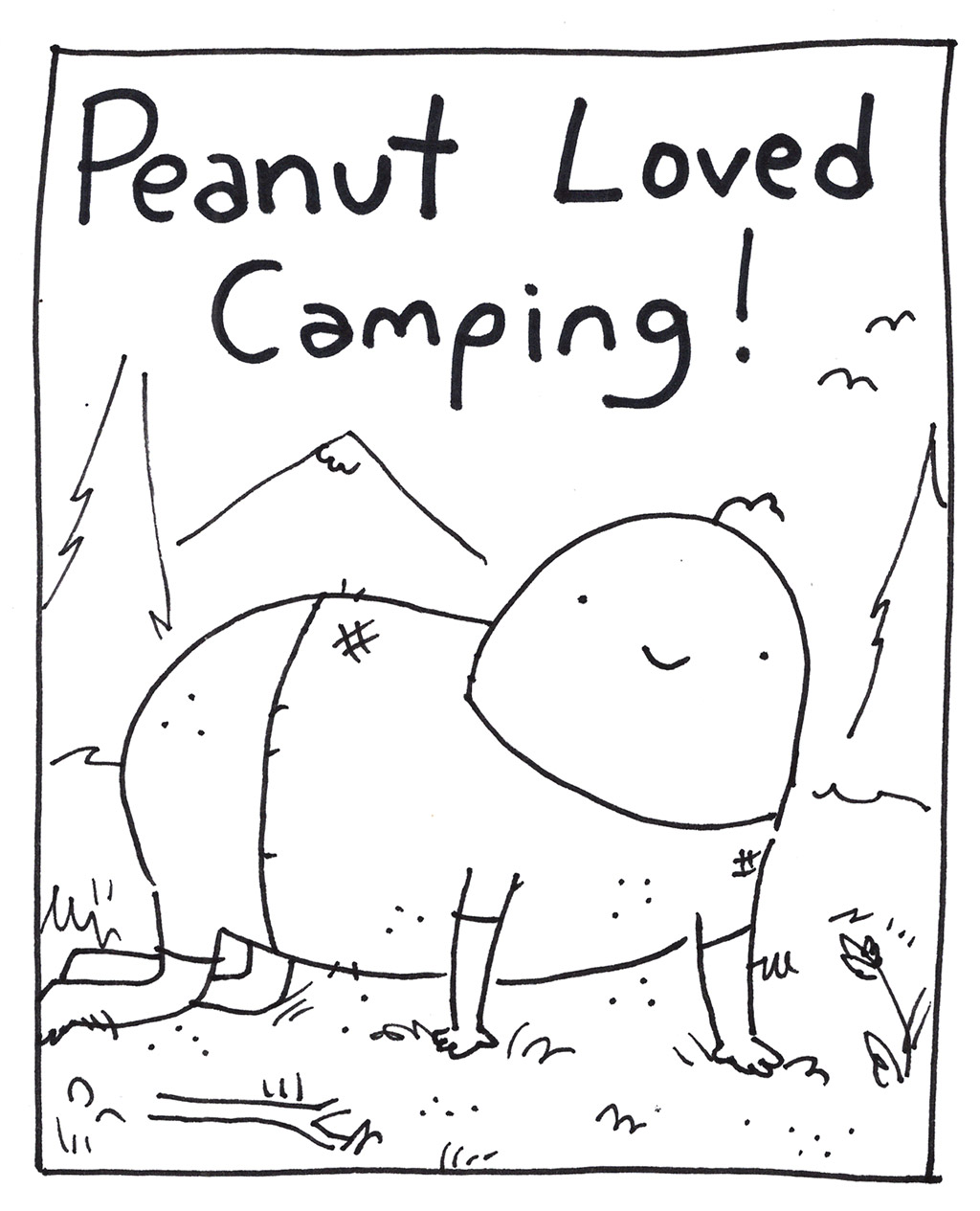 Camping Recap