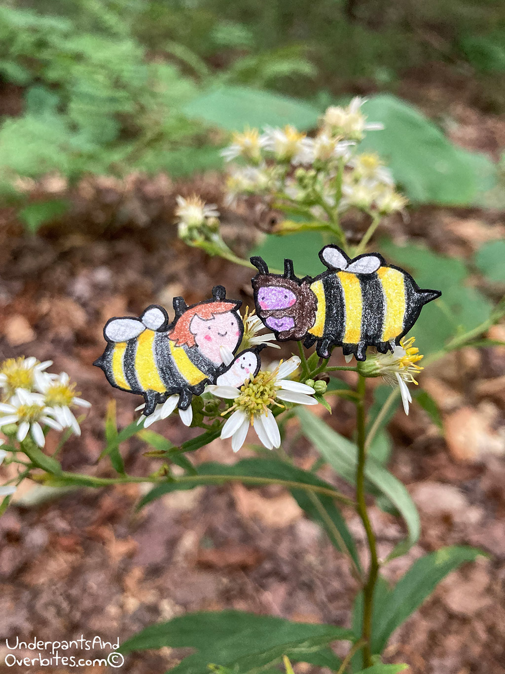 Bee Family