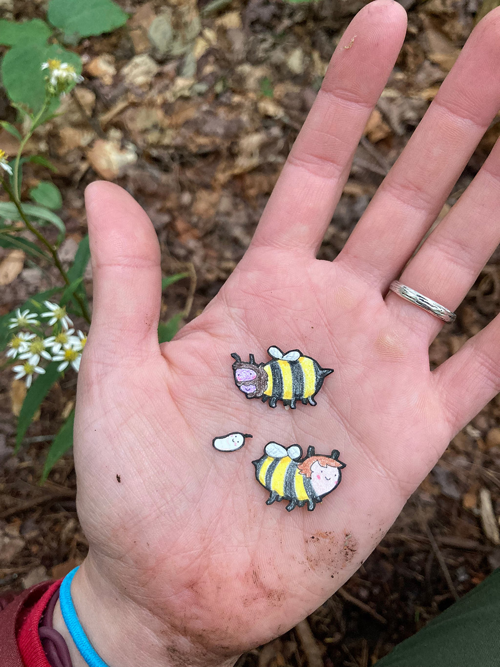 CO-102-C-BeeFamily