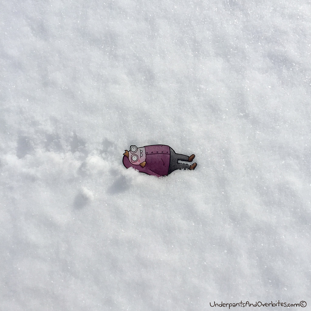 Winter Wonder