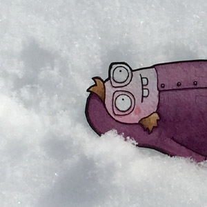 Winter Wonder