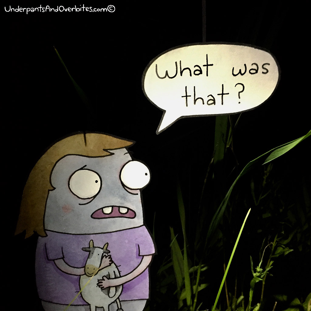 The Woods At Night