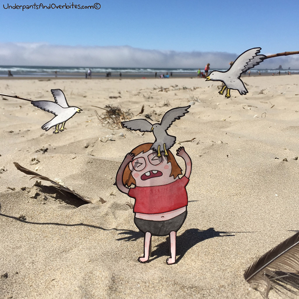 Seagulls