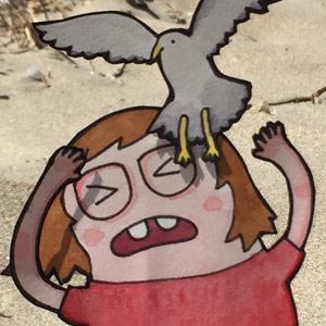 Seagulls